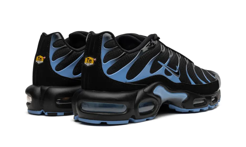 Nike Lifestyle Air Max Plus 'Black University Blue'